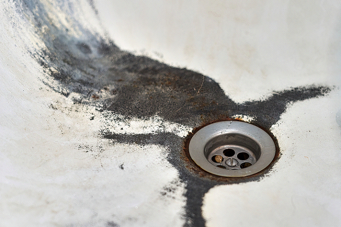 What is black sludge in a sink drain?